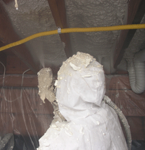 Pasadena CA crawl space insulation